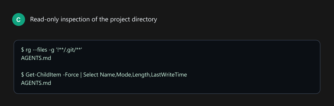 Read-only project inspection