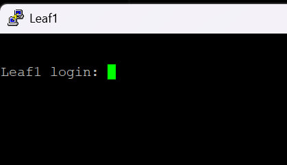 Рабочая telnet-консоль Arista